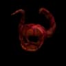The Fire Skull of Evermoor