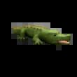 Alligator